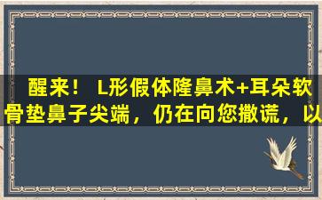 醒来！ L形假体隆鼻术+耳朵软骨垫鼻子尖端，仍在向您撒谎，以寻求鼻腔综合